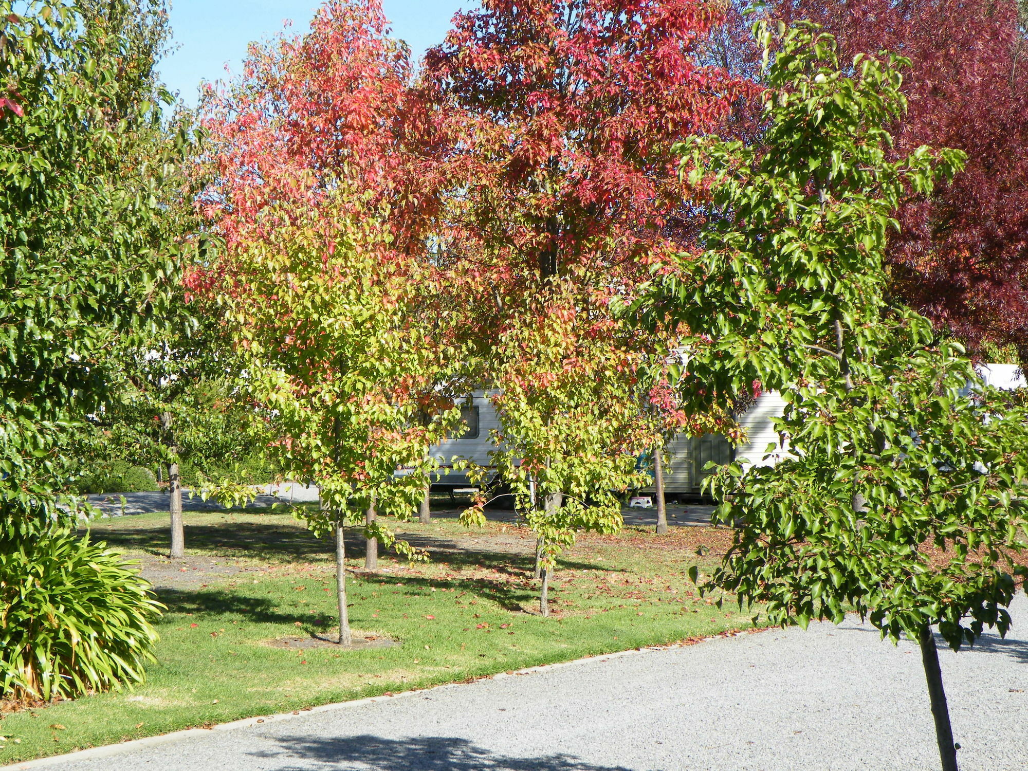 Lake Hamilton Motor Village And Caravan Park Exterior foto