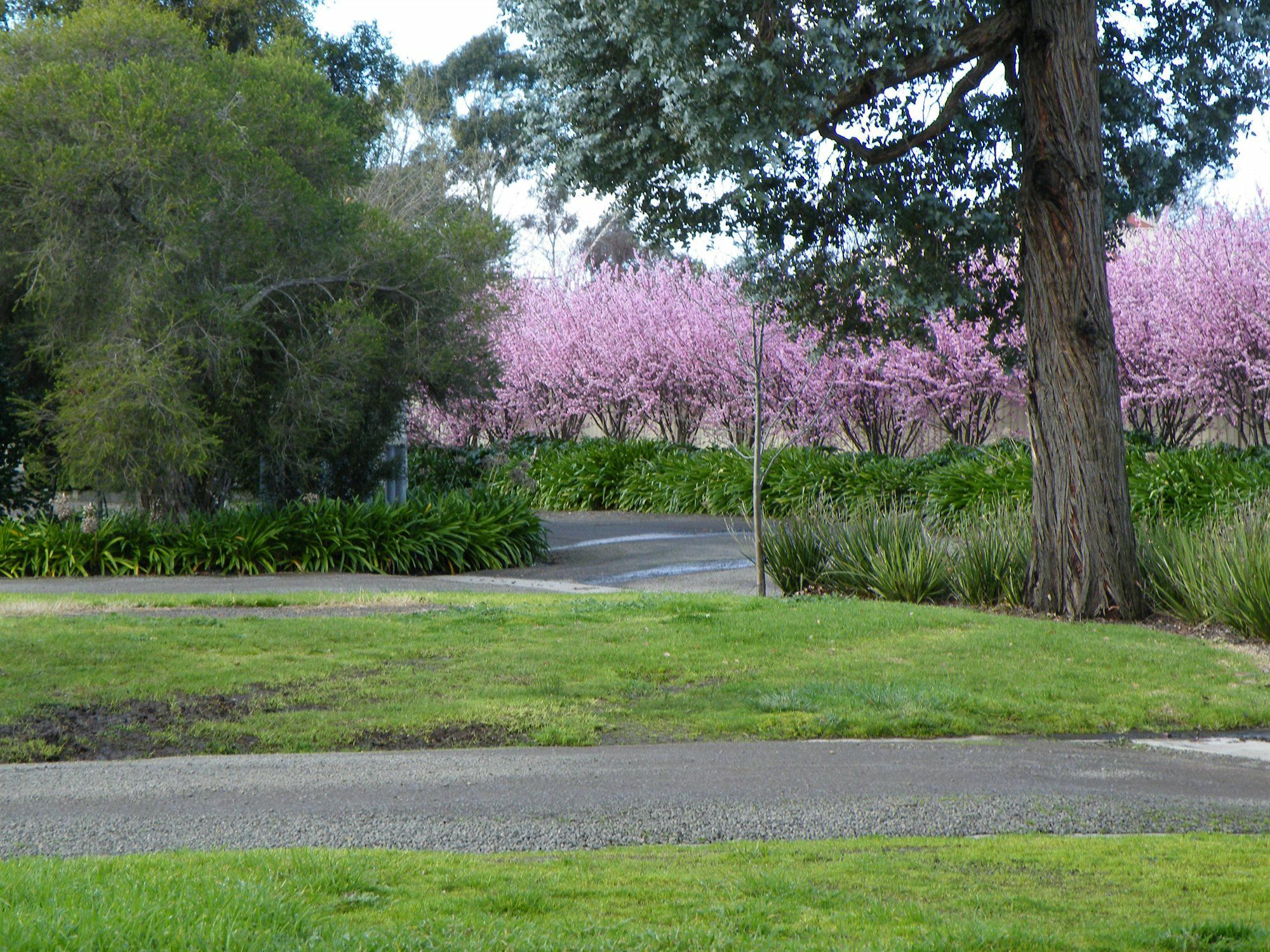 Lake Hamilton Motor Village And Caravan Park Exterior foto